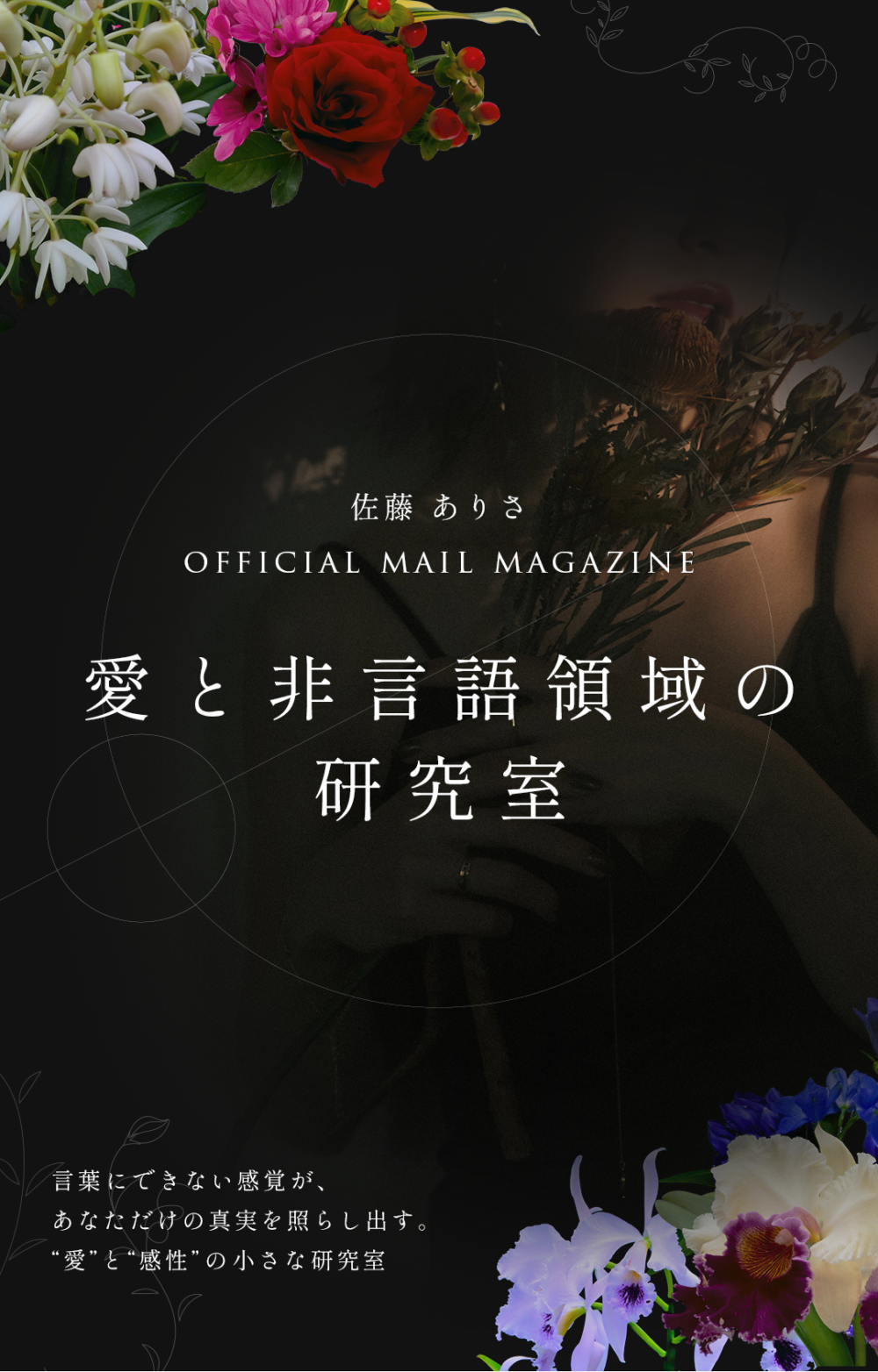 愛と非言語領域の研究室
