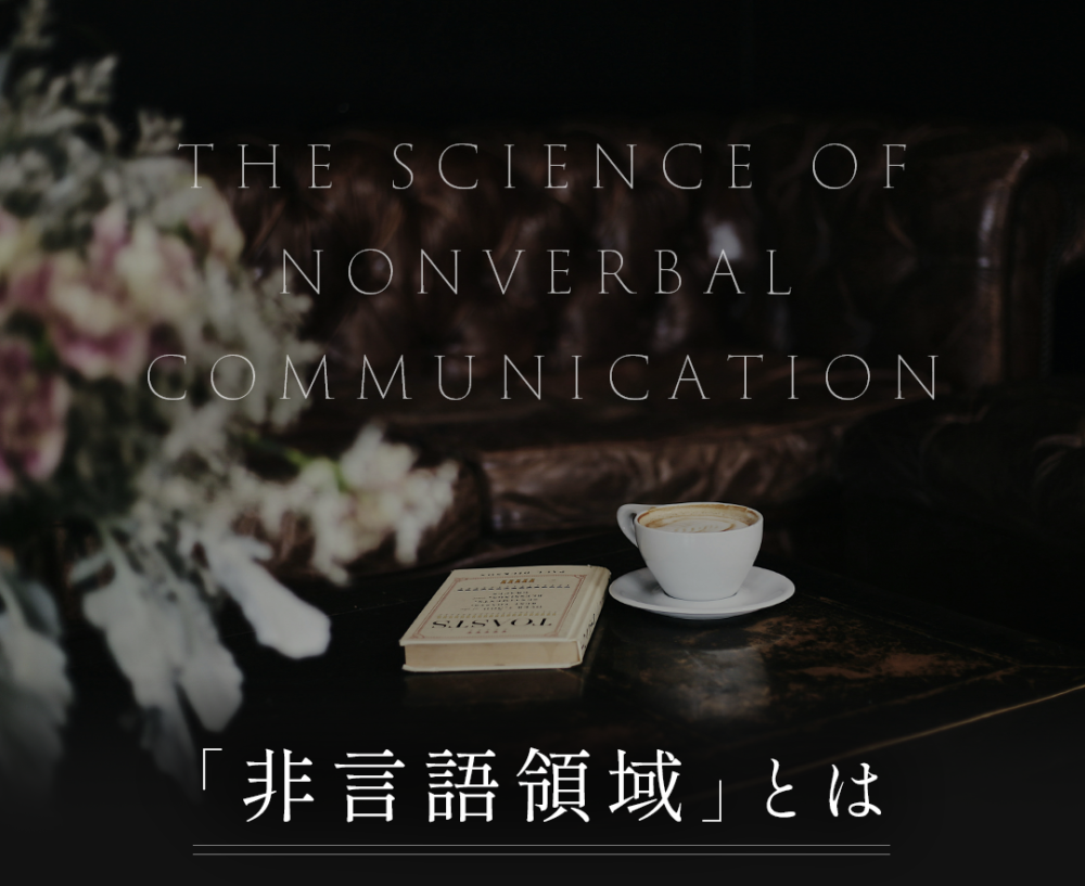 非言語領域とは